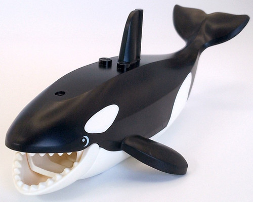 Orca killer whale killerwal - orca,