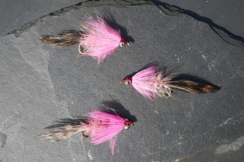 Polar magnus streamer - st., #