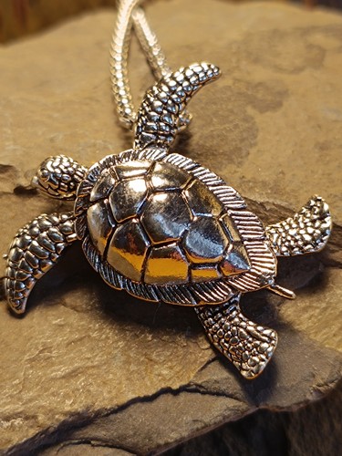 Meeres schildkröte hawaii - meeres,