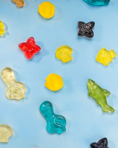 Fruchtgummi meeres mix - fruchtgummi, meeres-mix